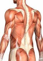 Medical Massage