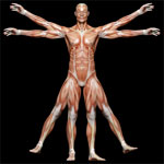 Neurokinetic Therapy